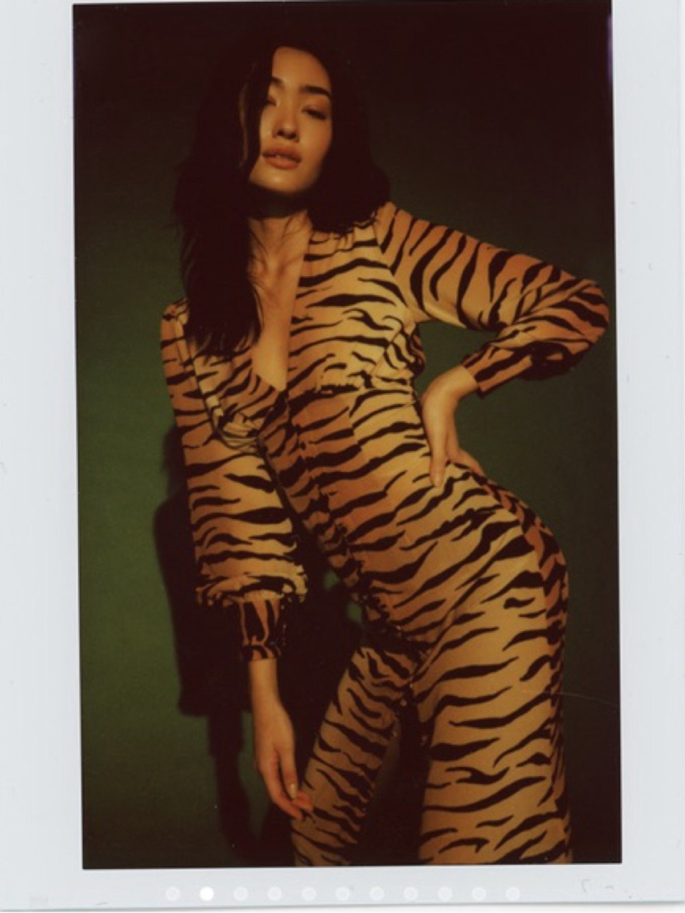 Réalisation Par 100% Silk Vivienne Dress Tiger Print